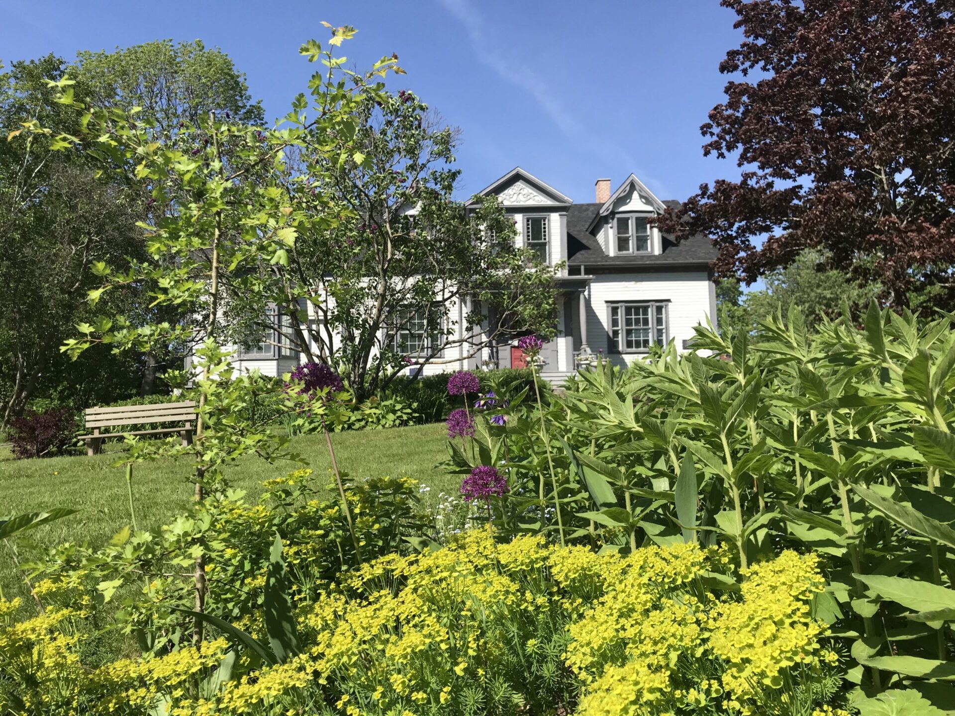 Grove Cottage Historic Places Days